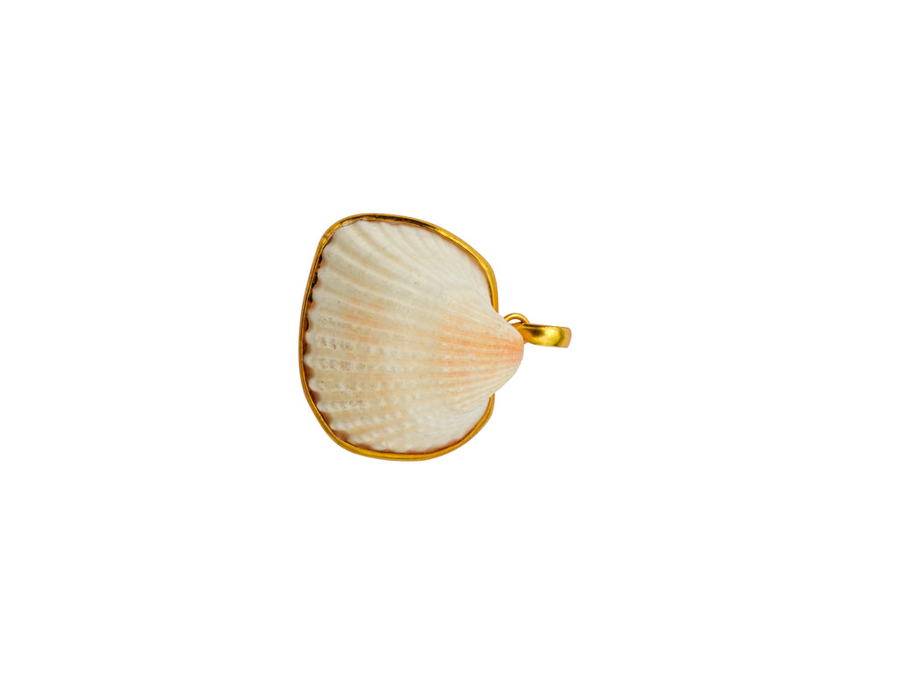 Natural Scallop Shell Gold-Edged Pendant – front face view showing cream-white scallop bivalve shell with radiating fan ribs, natural blush-pink umbo colouration, continuous 18K gold-plated electroformed border following shell’s organic outline and gold bail loop at upper right