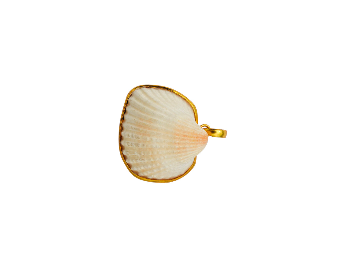 Natural Scallop Shell Gold-Edged Pendant – front face view showing cream-white scallop bivalve shell with radiating fan ribs, natural blush-pink umbo colouration, continuous 18K gold-plated electroformed border following shell’s organic outline and gold bail loop at upper right