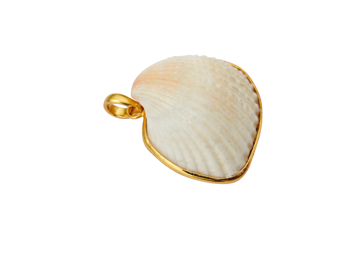 Natural Scallop Shell Gold-Edged Pendant – three-quarter angled view showing full shell dimensionality, gold border edge wrap depth, bail loop scale and cream-to-white shell surface texture