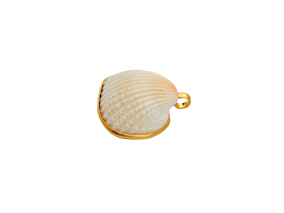 Natural Scallop Shell Gold-Edged Pendant – side profile view showing complete three-dimensional shell cup depth, gold border wrapping both face edge and shell rim, and bail loop position