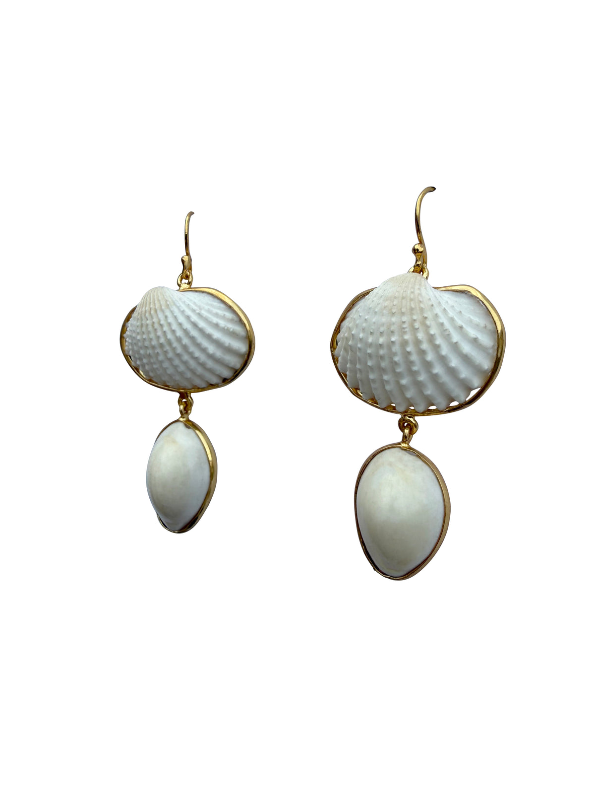 Śuktikaparda | Natural Scallop & Cowrie Shell Drop Earrings in 22k Gold Plated