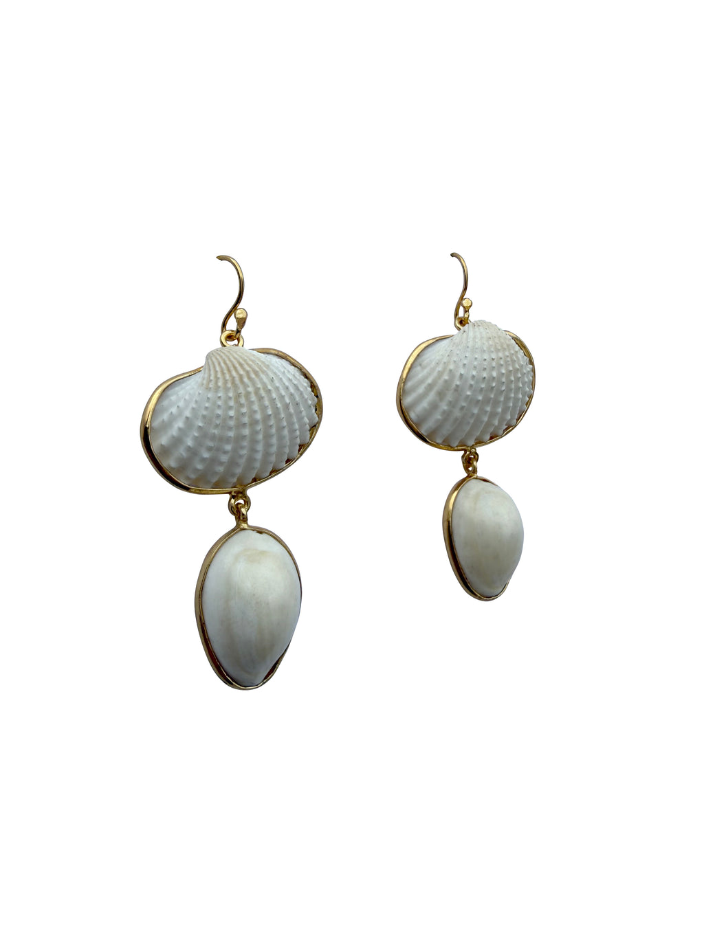 Śuktikaparda | Natural Scallop & Cowrie Shell Drop Earrings in 22k Gold Plated