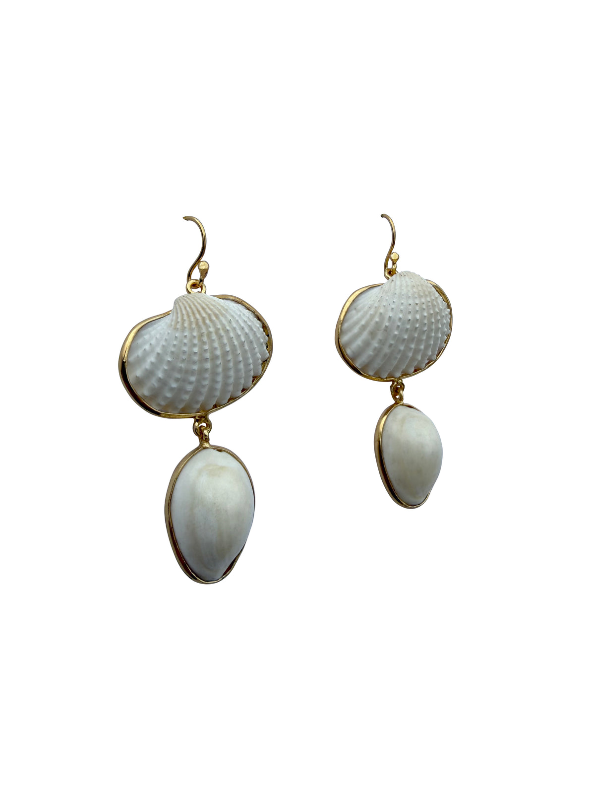 Śuktikaparda | Natural Scallop & Cowrie Shell Drop Earrings in 22k Gold Plated