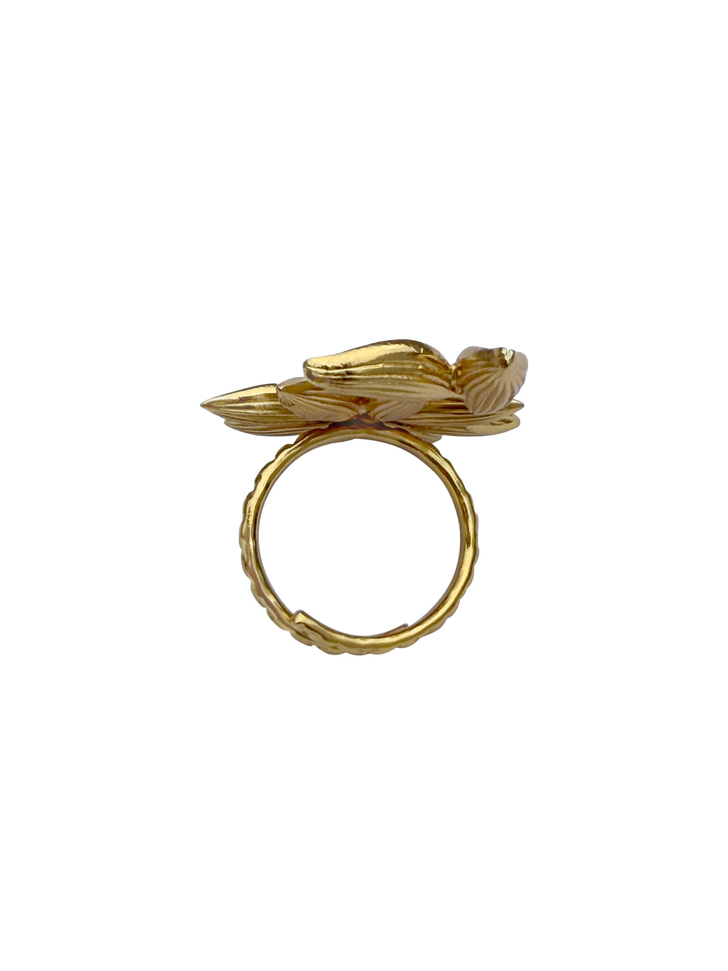 Chakraelā | Star Anise & Cardamom Gold Botanical Cocktail Ring in 22k Gold Plated